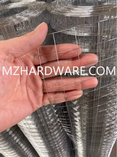 Galvanized / Plastic Coated / Protective / Welding / Hexagonal / Steel Wire Mesh